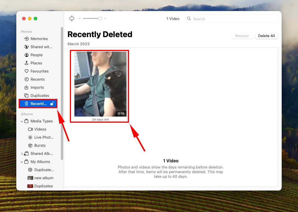 Recently Deleted album in the Photos app