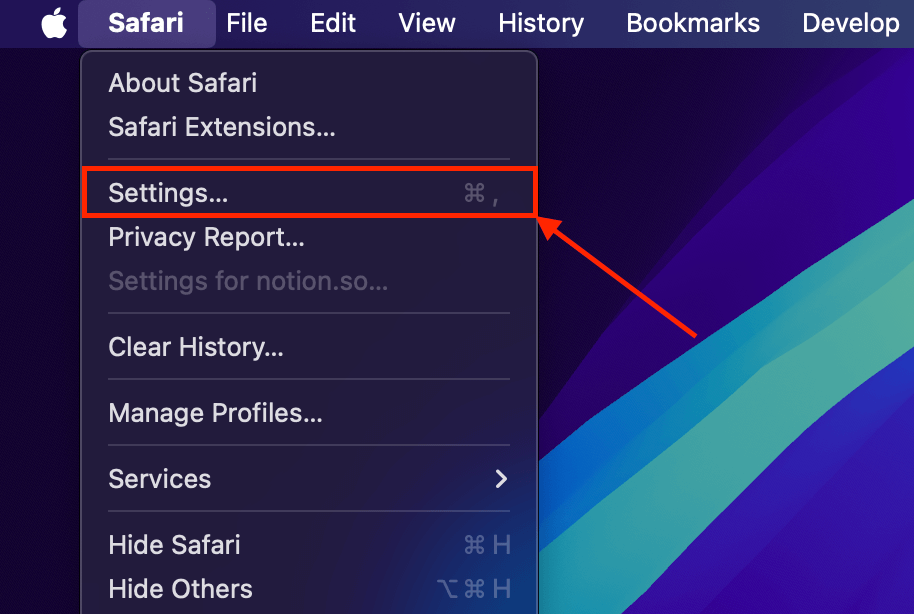 Settings button in Safari's main menu