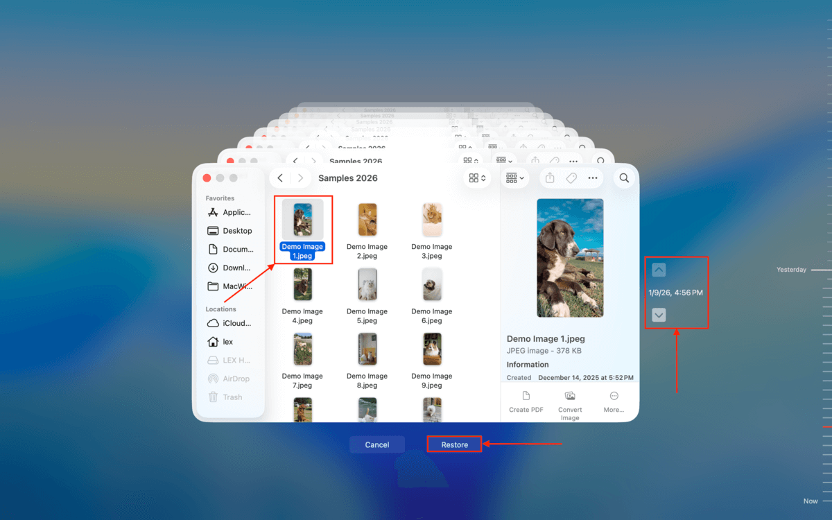 restore button in time machine