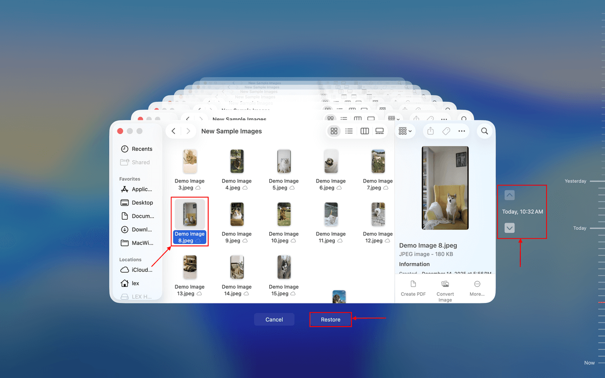 backup selection in time machine