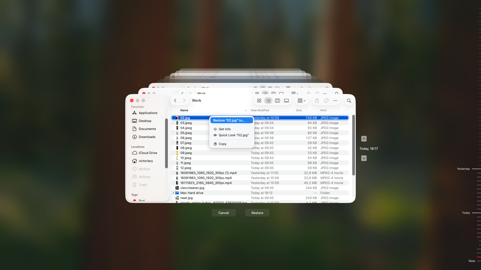 Time Machine restore a file