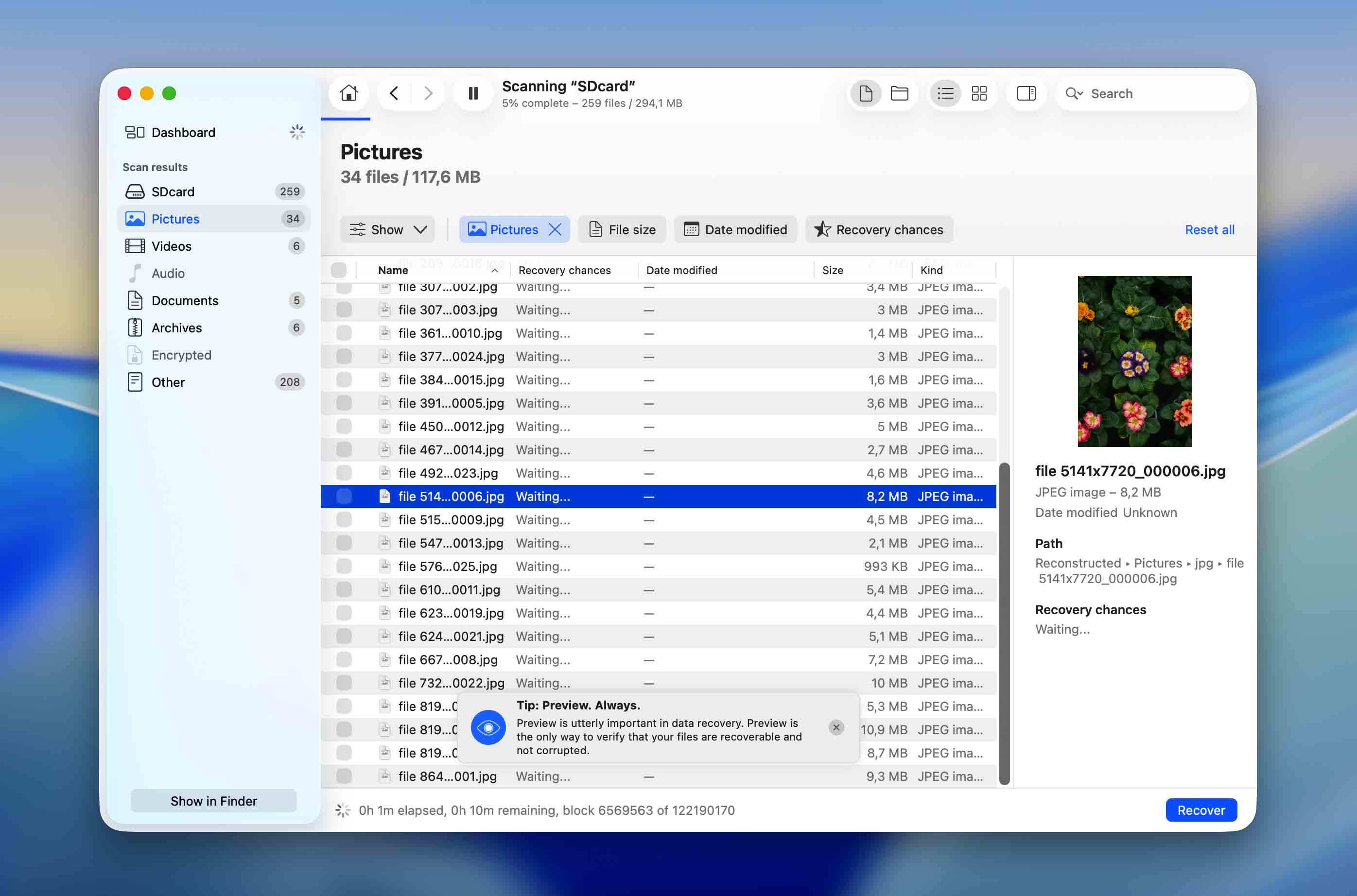 preview file in Disk Drill results