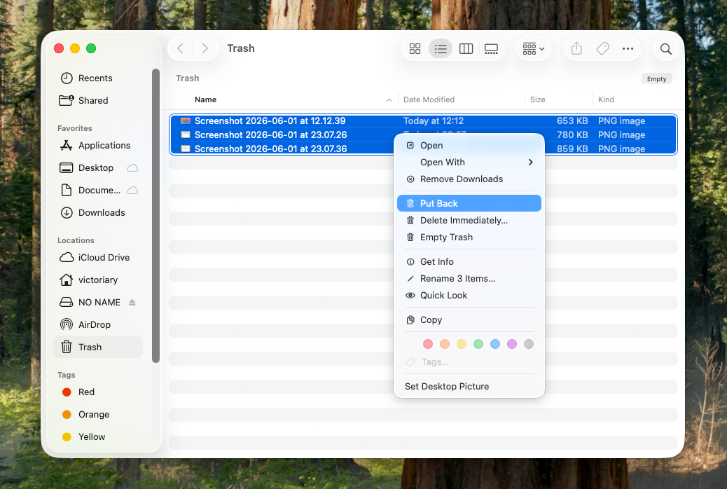 Restore files from Trash